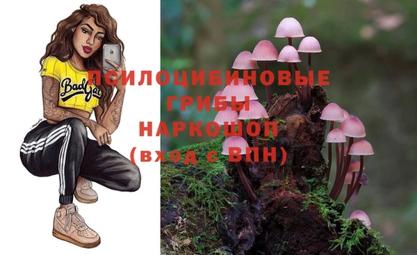 бутират Мегион