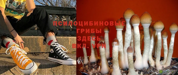 ALPHA PVP Медвежьегорск