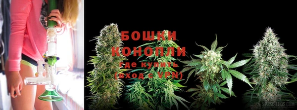 бутират Мегион