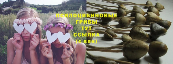 бутират Мегион