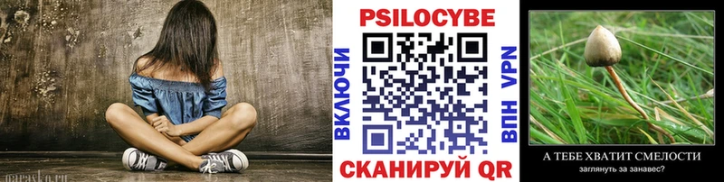 цена наркотик Эртиль Псилоцибиновые грибы Psilocybe